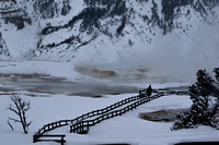 Mammoth Hot Springs, Yellowstone  -  _DSC0036