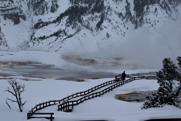 Mammoth Hot Springs, Yellowstone  -  _DSC0036