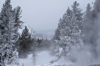 Upper Geyser Basin, Yellowstone  -  _DSC0199