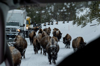 On the road to Old Faithful  -  _DSC0061