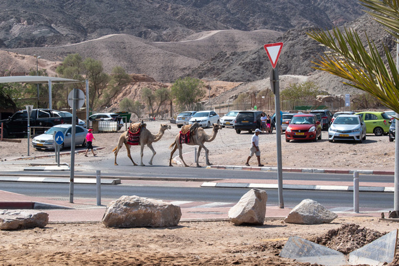 Eilat  -  _DSC0146