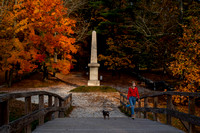 Fall Foliage